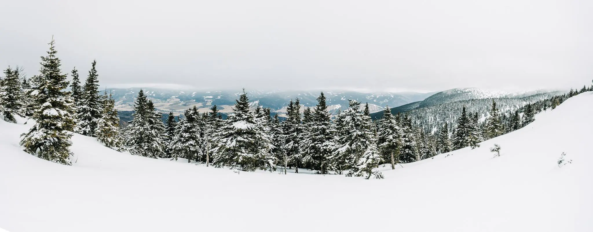 Weekend w Górach Opawskich: Odkryj spokój i naturę z Białą Akacją