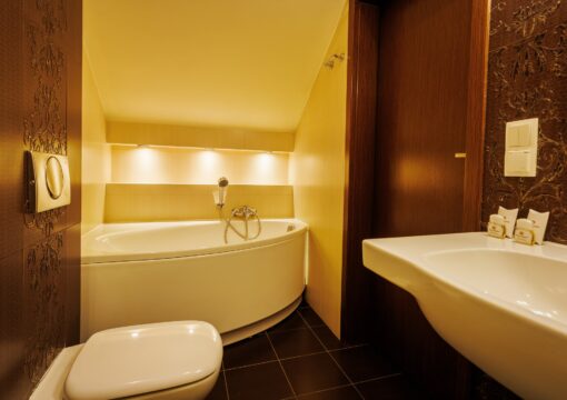 Apartament typu Suite z balkonem