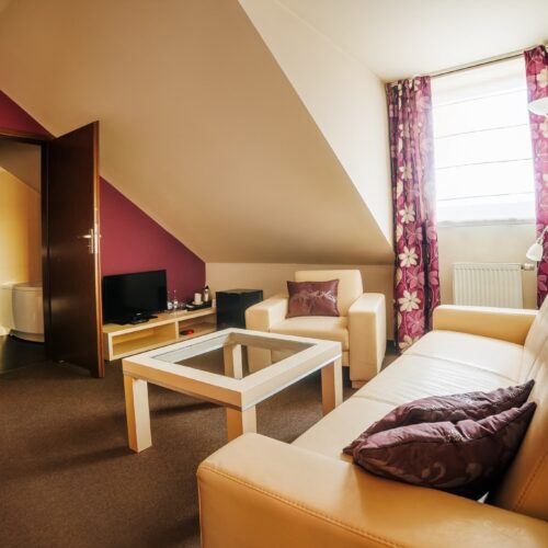 Apartament typu Suite z balkonem Apartament typu Suite z balkonem