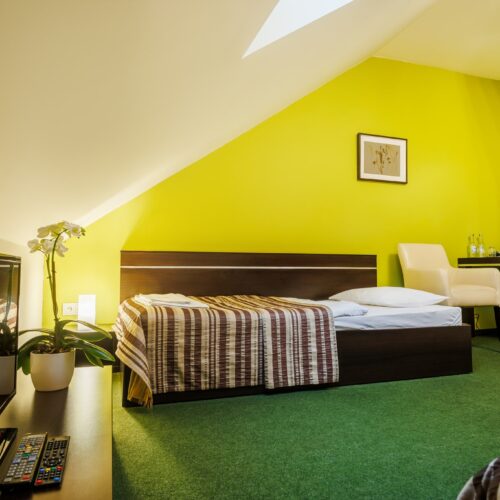 Pokój z dwoma pojedynczymi łóżkami Pokój z dwoma pojedynczymi łóżkami