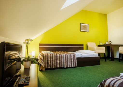 Pokój z dwoma pojedynczymi łóżkami