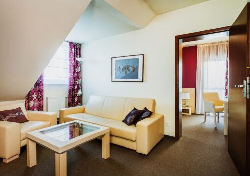 Apartament typu Suite z balkonem