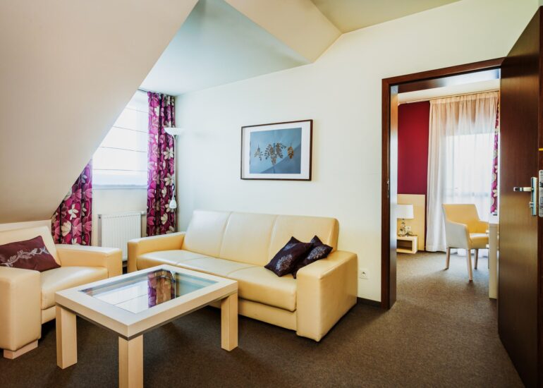 Apartament typu Suite z balkonem Apartament typu Suite z balkonem