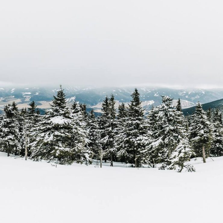 Weekend w Górach Opawskich: Odkryj spokój i naturę z Białą Akacją